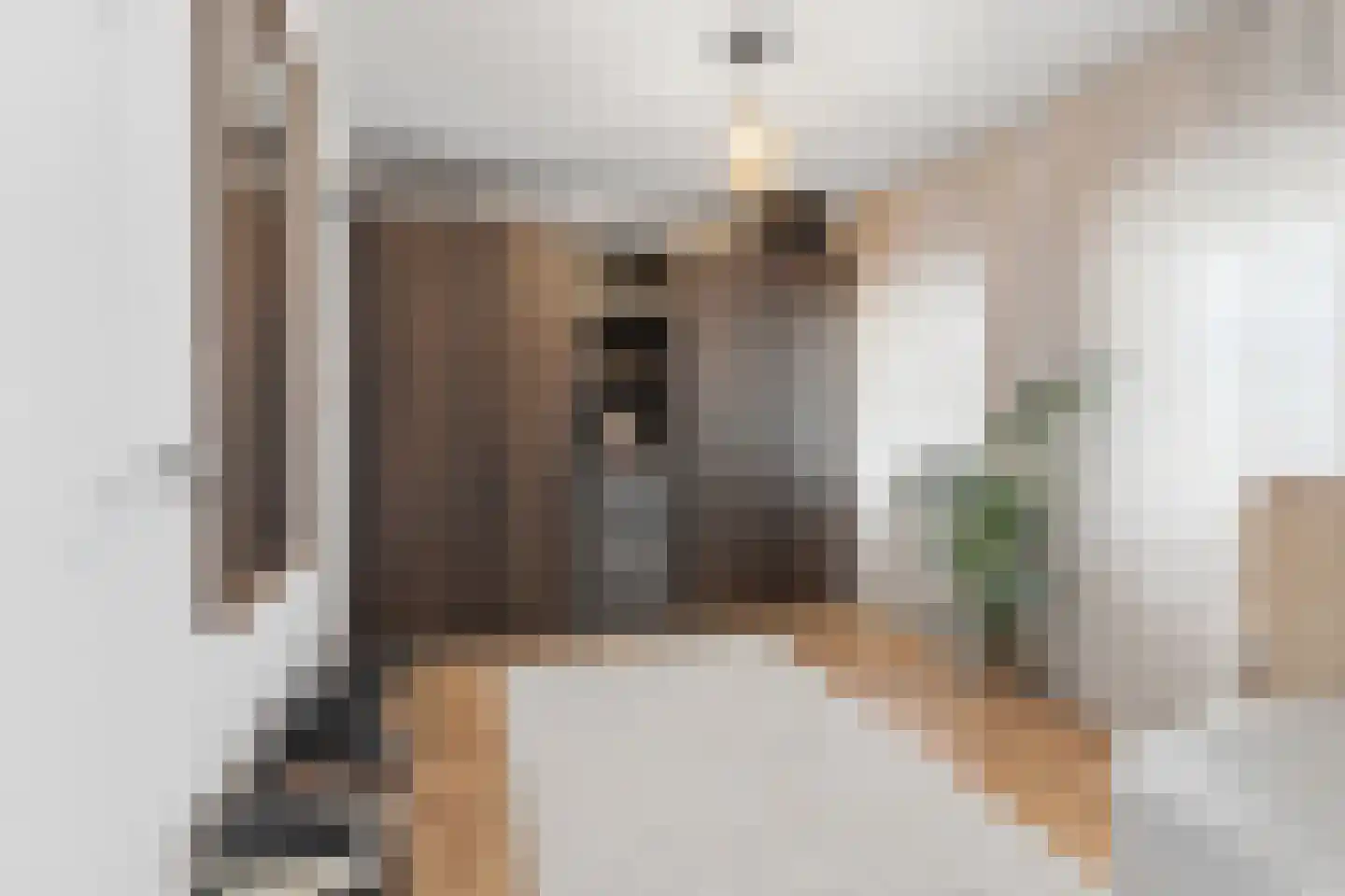PC Hooftstraat 30 Zevenaar thumbnail 21