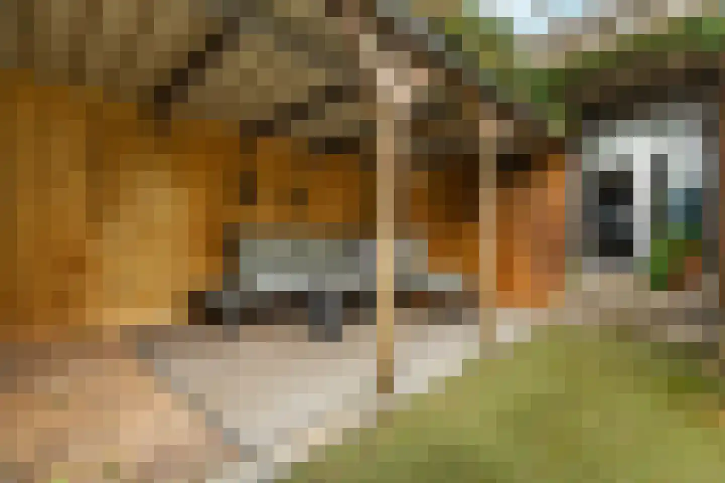 PC Hooftstraat 30 Zevenaar thumbnail 5