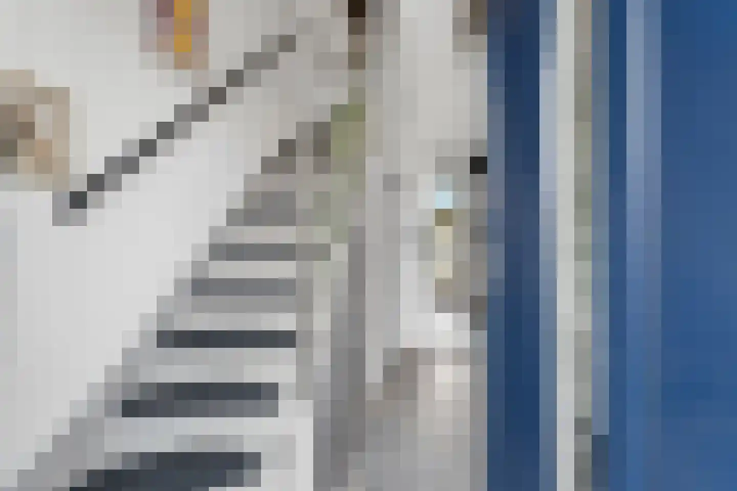 PC Hooftstraat 30 Zevenaar thumbnail 6