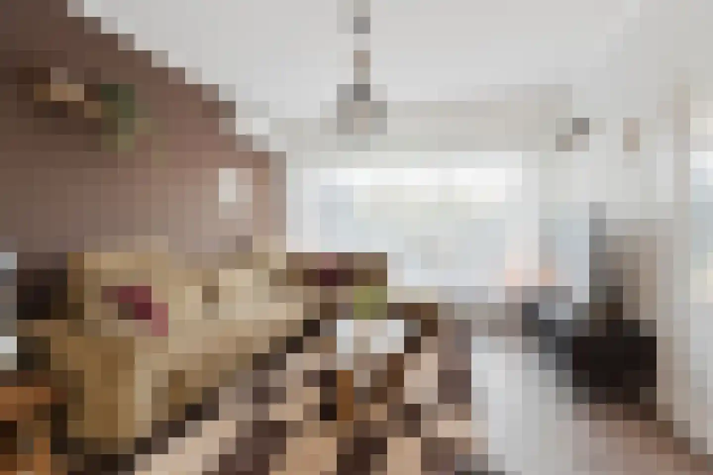 PC Hooftstraat 30 Zevenaar thumbnail 8