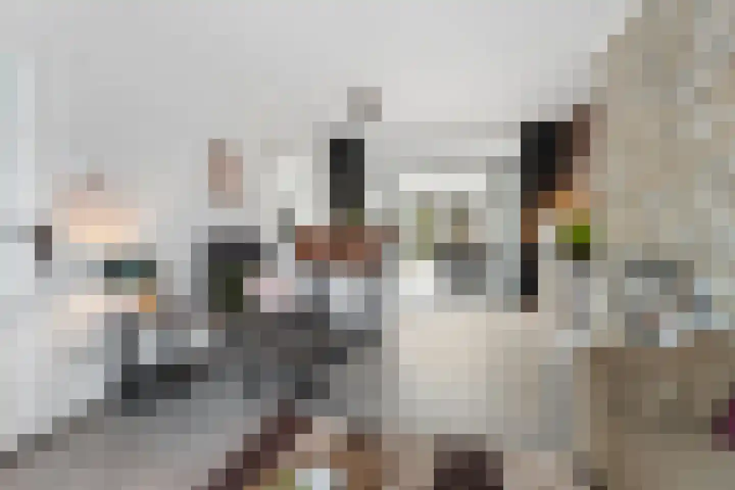 PC Hooftstraat 30 Zevenaar thumbnail 9