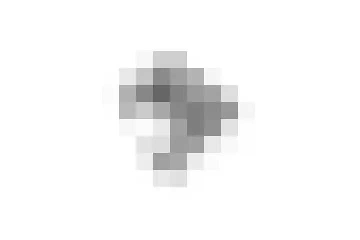PC Hooftstraat 71 Zevenaar thumbnail 32