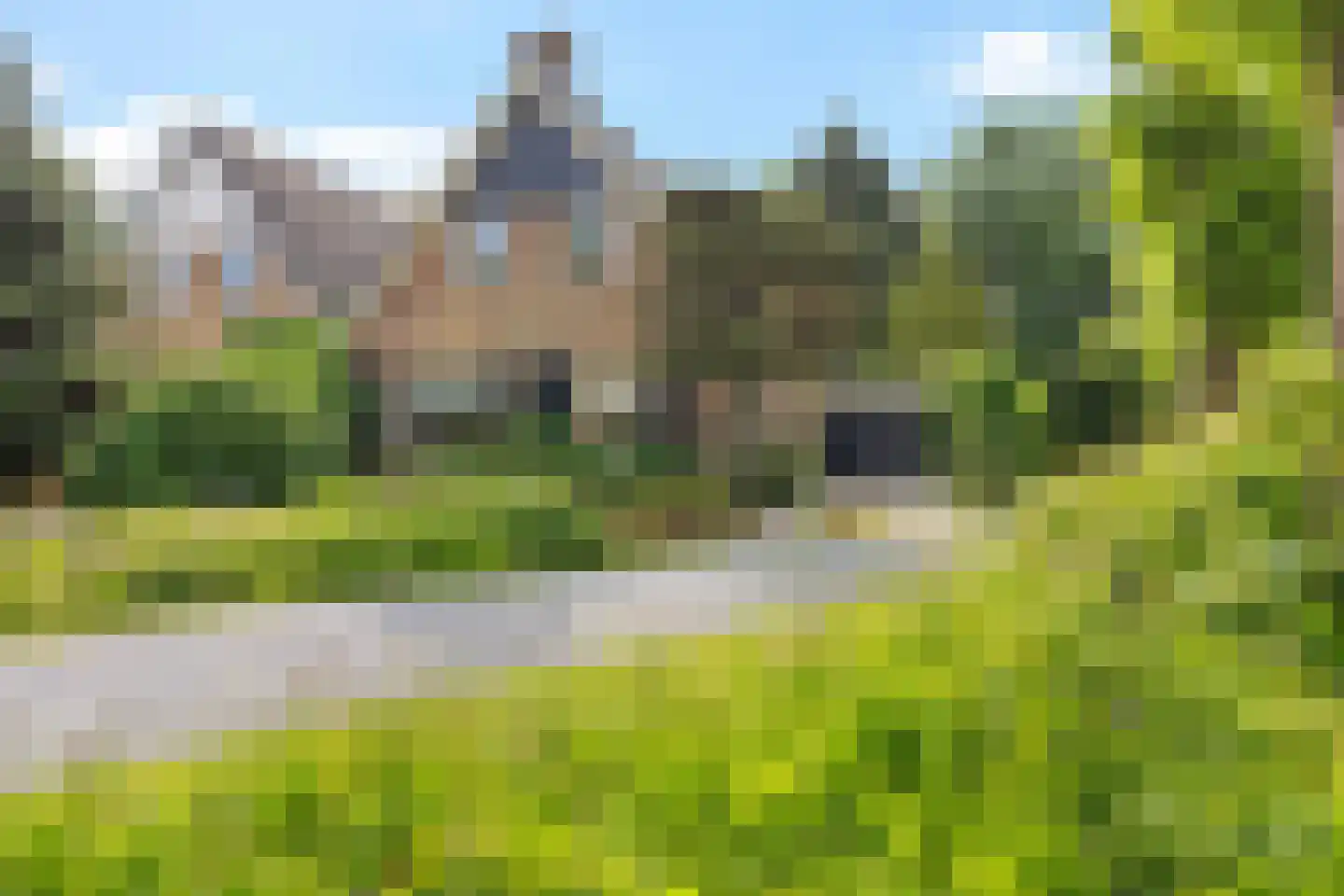 Pealskar 1 in Joure