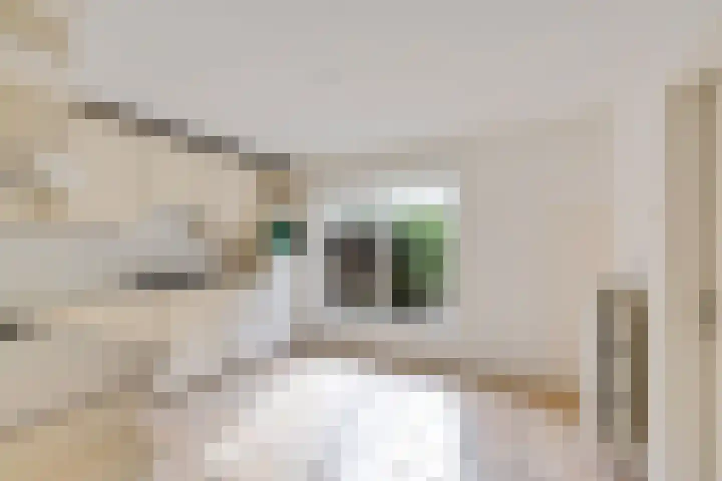 Pealskar 1 Joure thumbnail 17