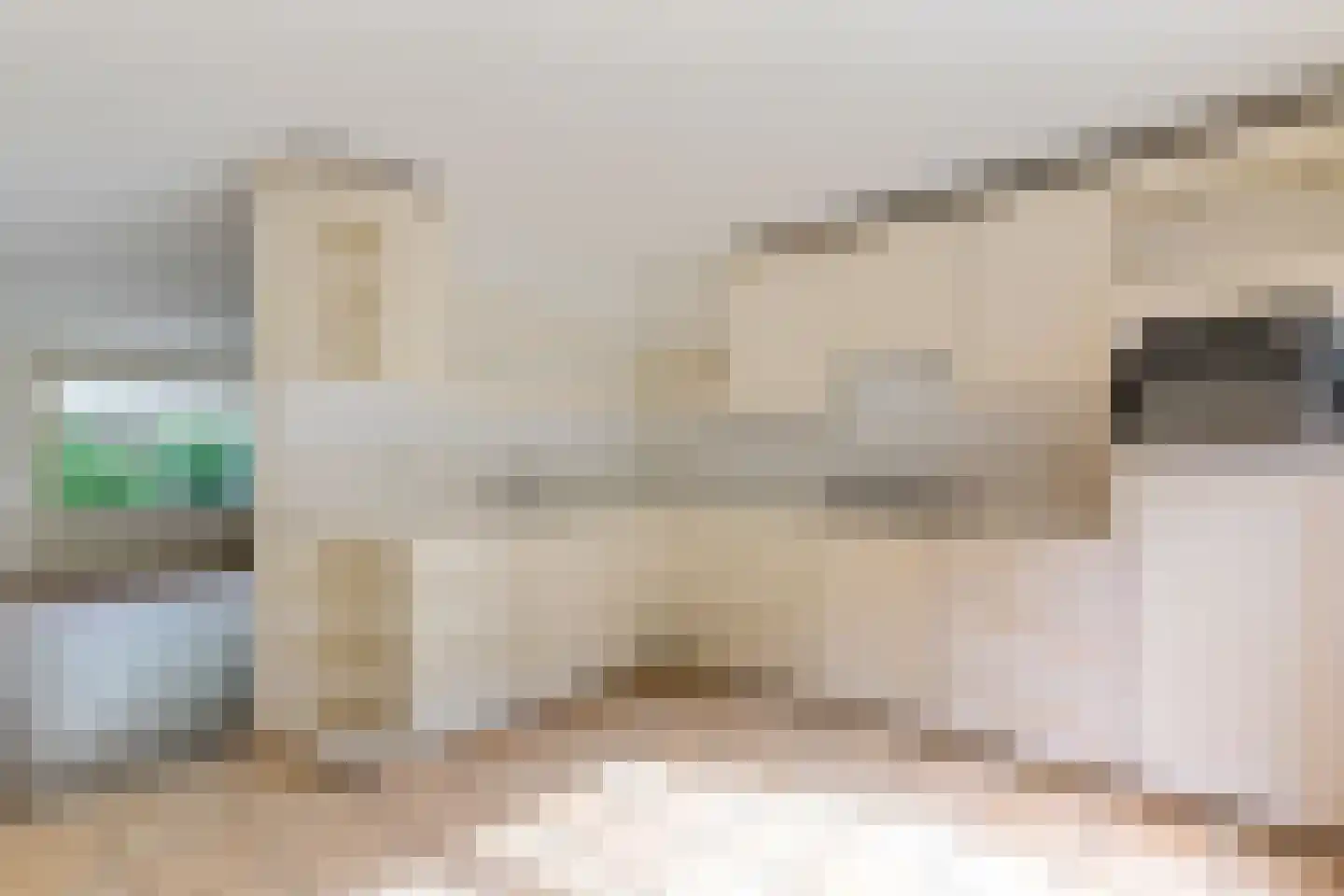Pealskar 1 Joure thumbnail 18
