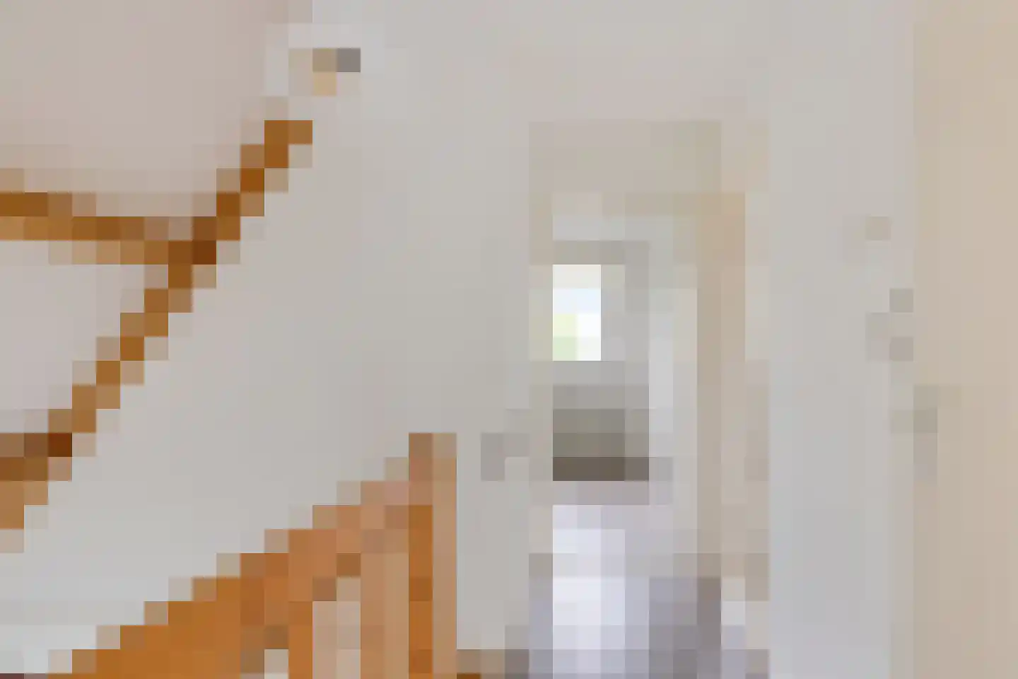 Pealskar 1 Joure thumbnail 22