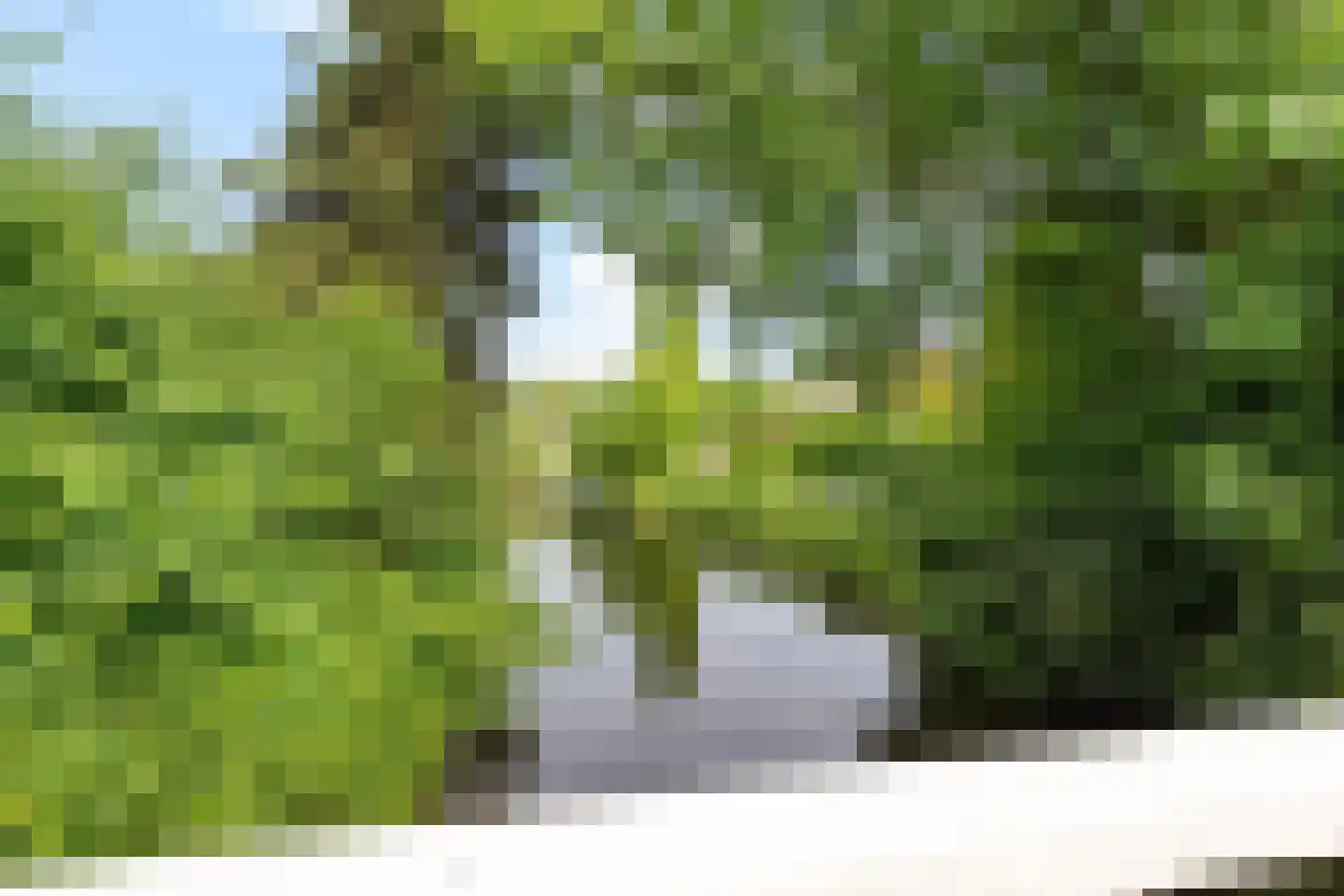 Pealskar 1 Joure thumbnail 36