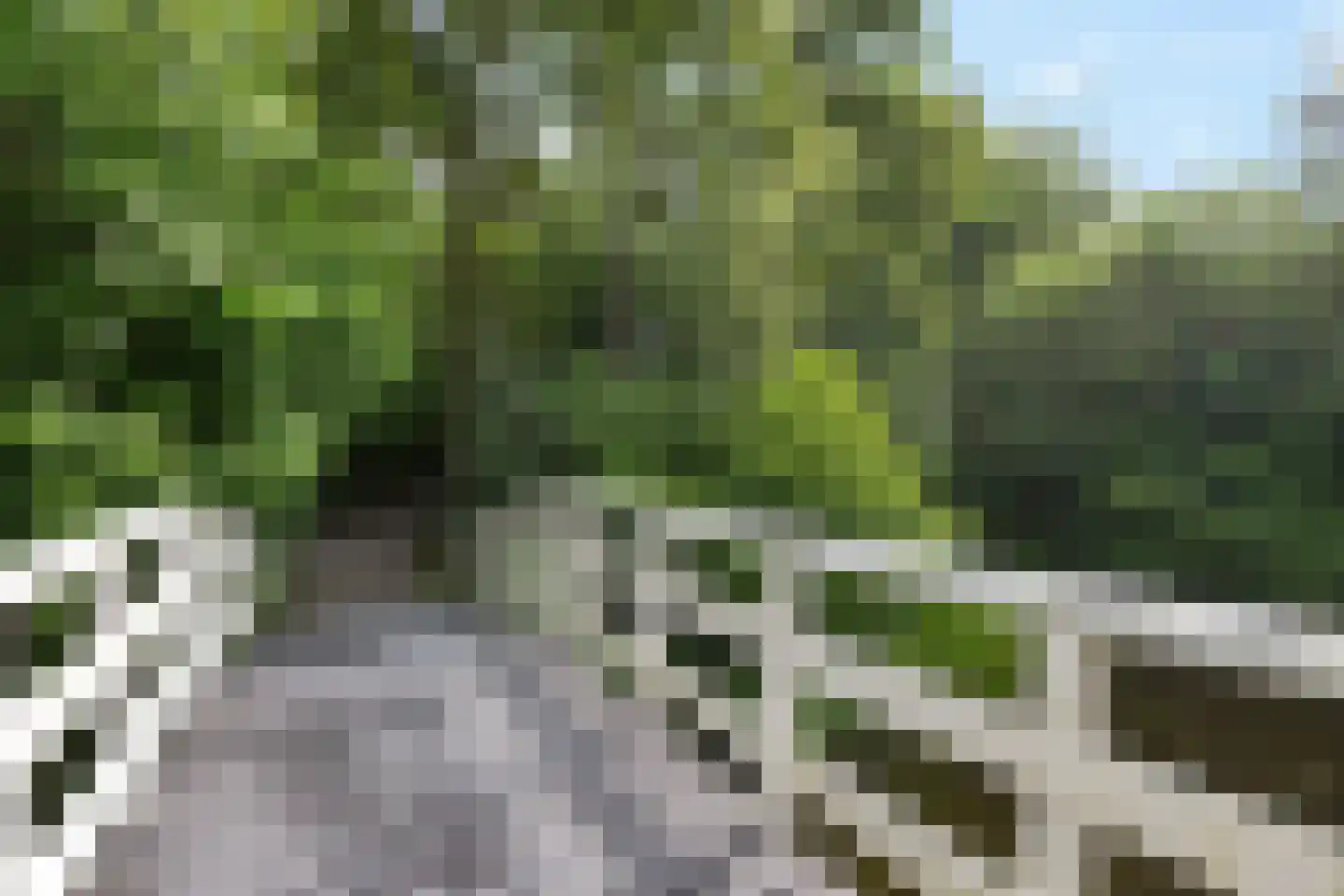 Pealskar 1 Joure thumbnail 37