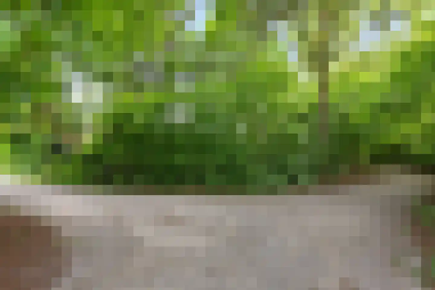 Pealskar 1 Joure thumbnail 38