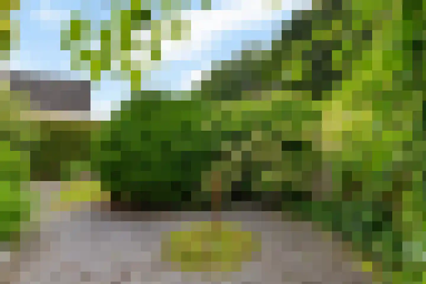Pealskar 1 Joure thumbnail 39
