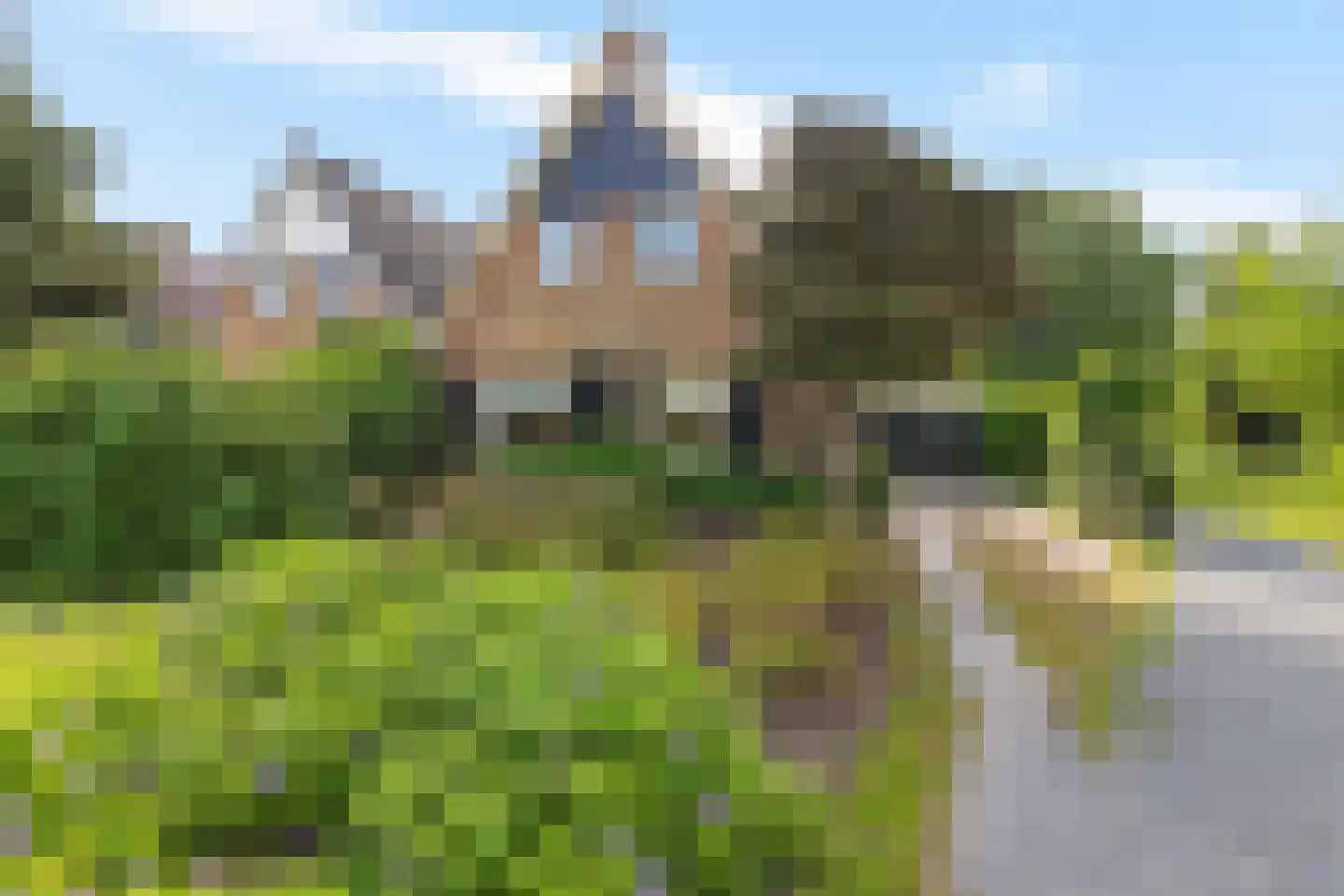 Pealskar 1 Joure thumbnail 4