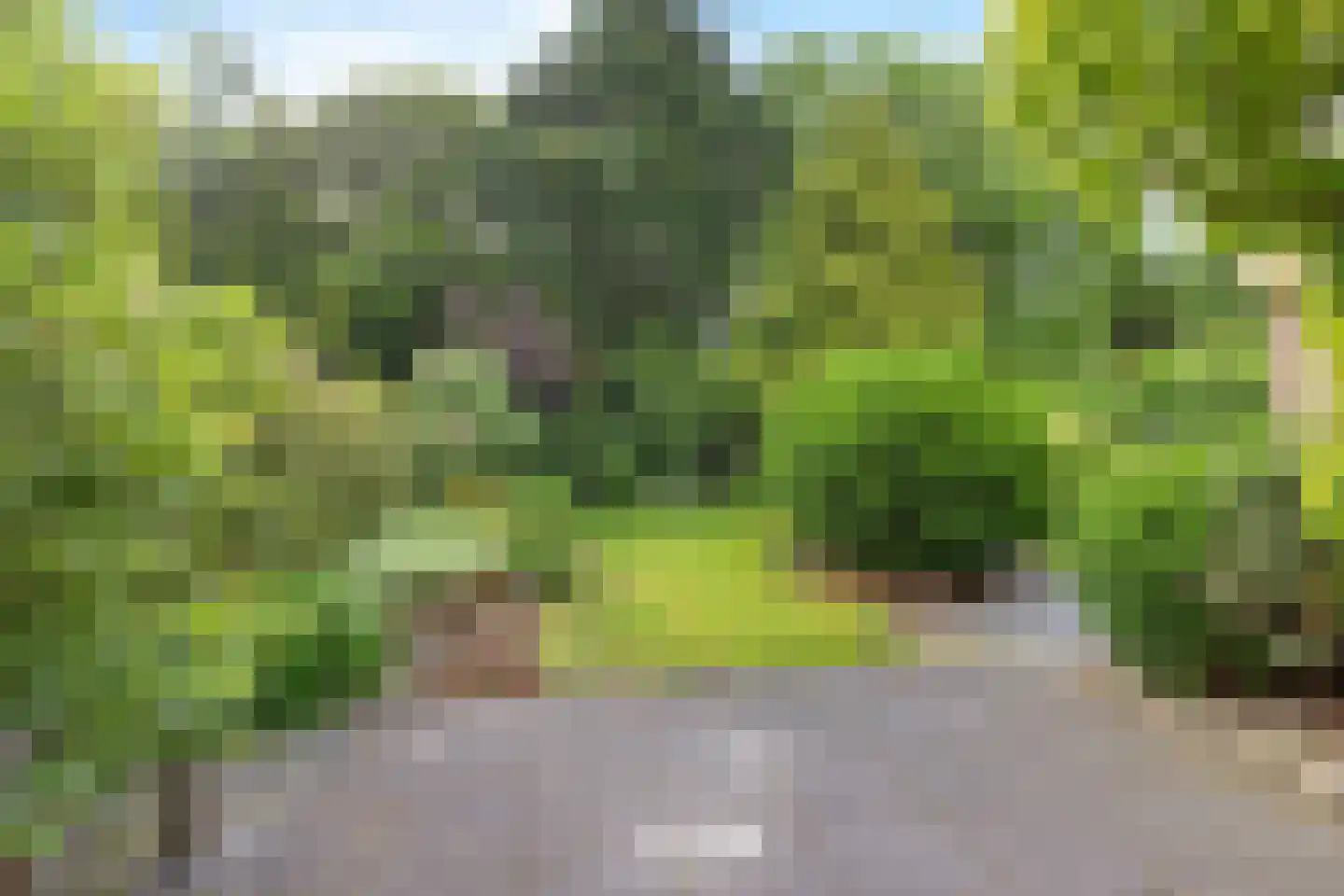 Pealskar 1 Joure thumbnail 40