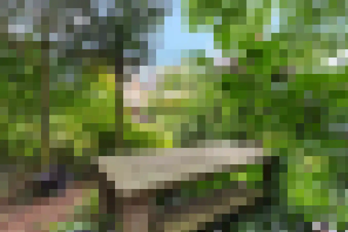 Pealskar 1 Joure thumbnail 44