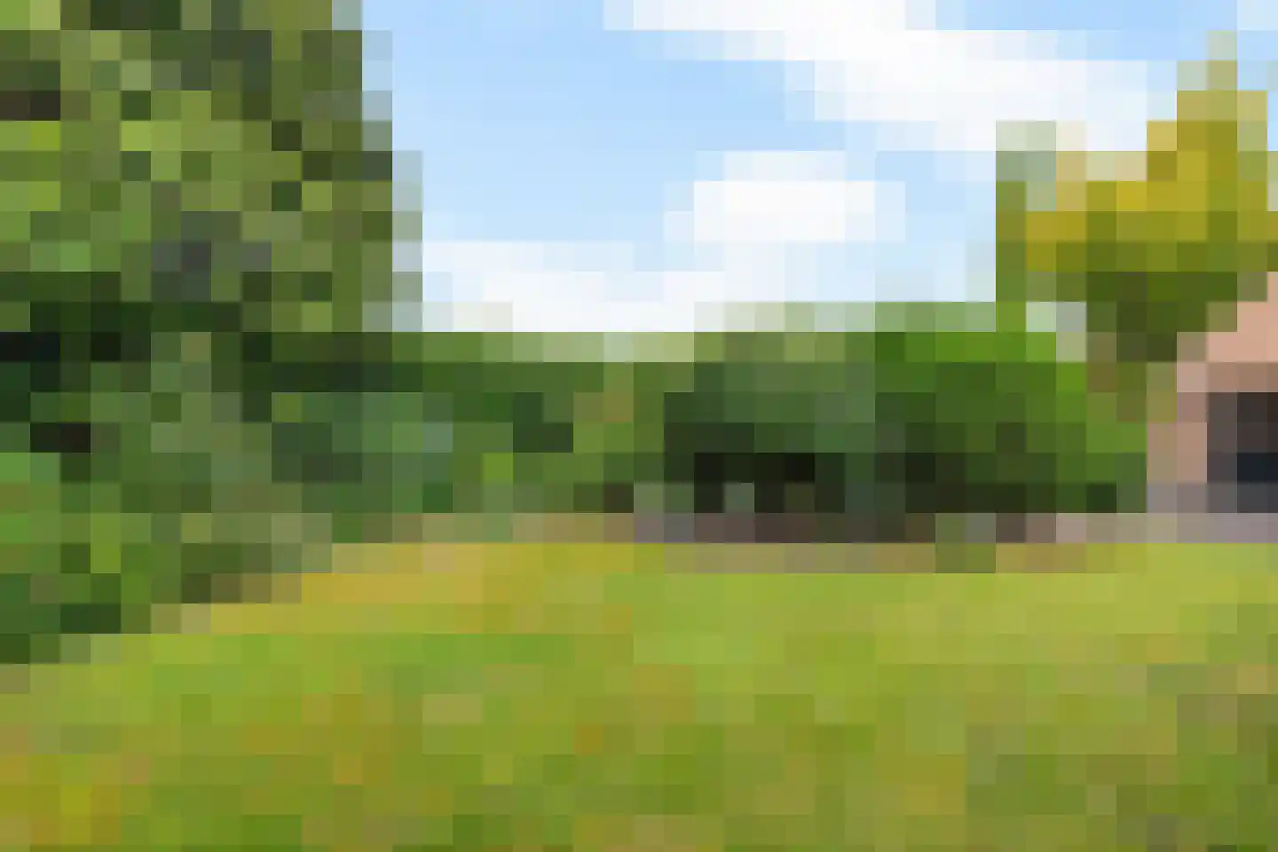Pealskar 1 Joure thumbnail 45