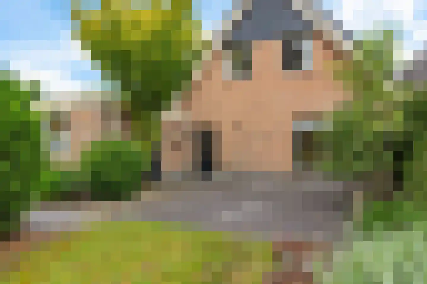 Pealskar 1 Joure thumbnail 46