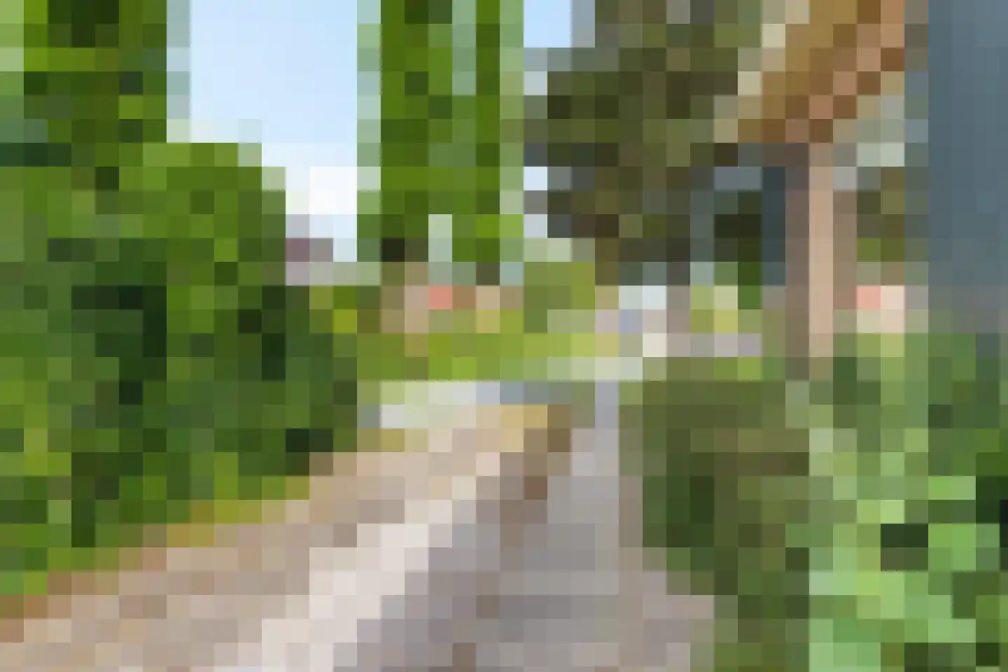 Pealskar 1 Joure thumbnail 8