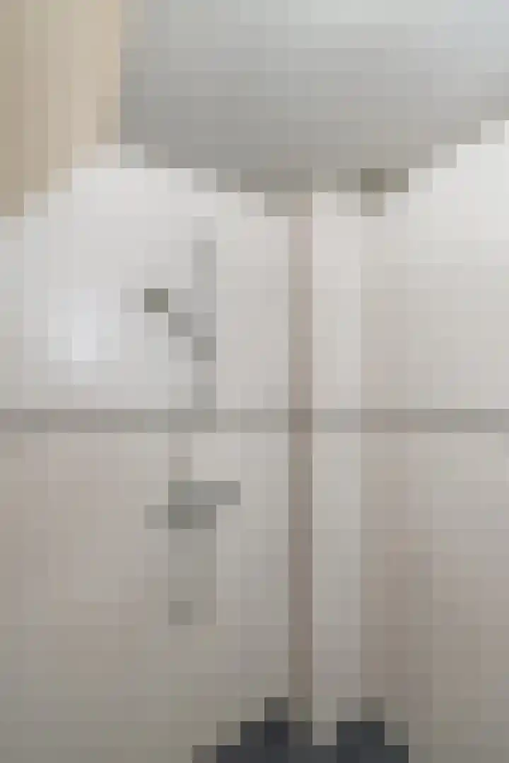 Pealskar 16 Joure thumbnail 26