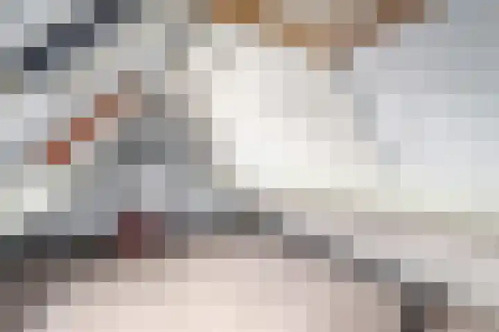 Pealskar 16 Joure thumbnail 28