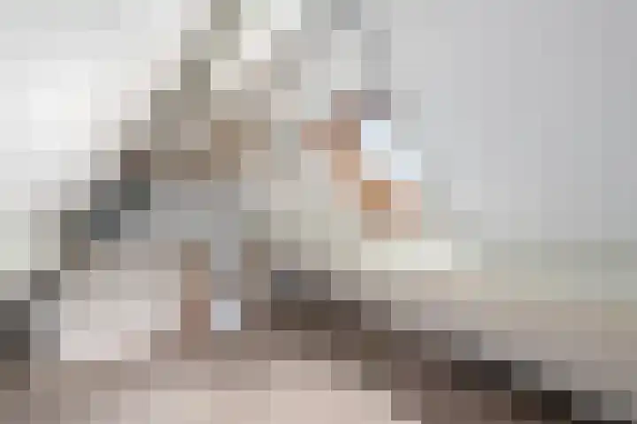 Pealskar 16 Joure thumbnail 29