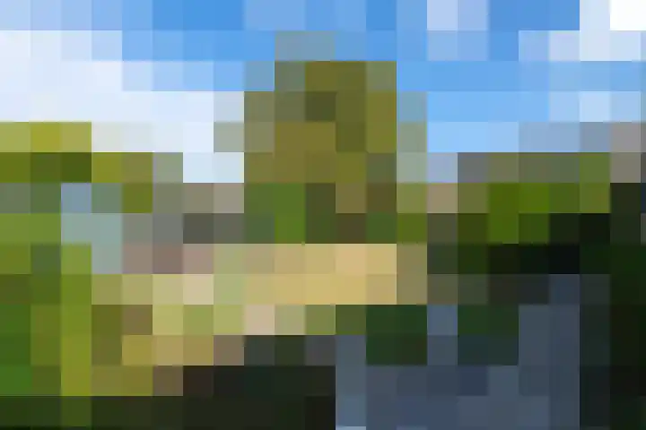 Pealskar 16 Joure thumbnail 32