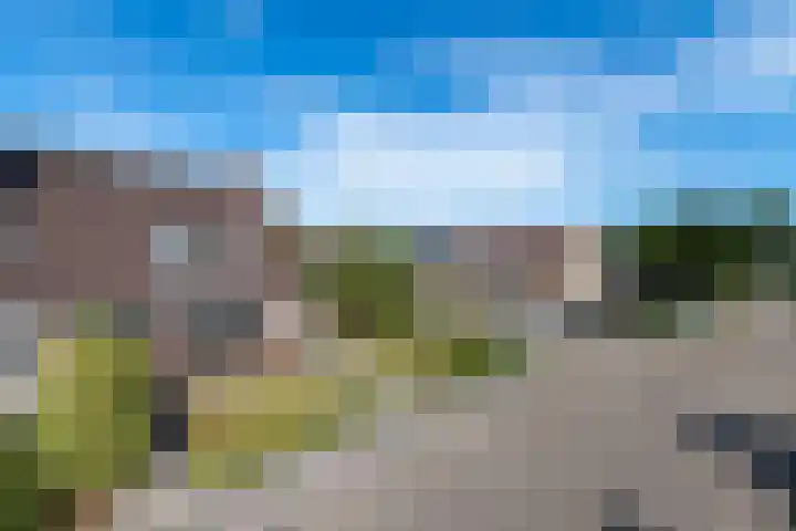 Pealskar 16 Joure thumbnail 37