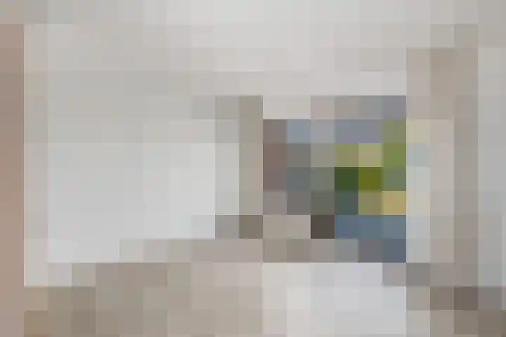 Pealskar 16 Joure thumbnail 9