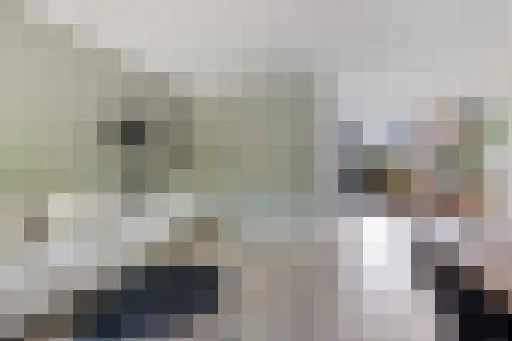 Pealskar 40 Joure thumbnail 13