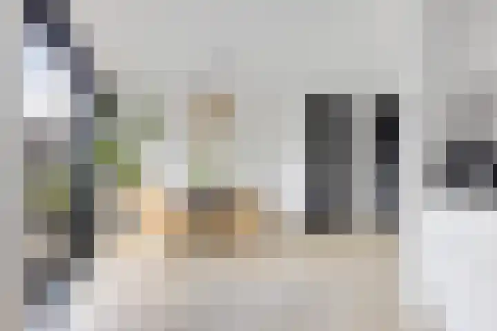 Pealskar 40 Joure thumbnail 15