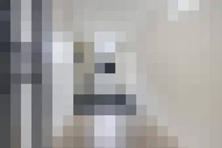 Pealskar 40 Joure thumbnail 17