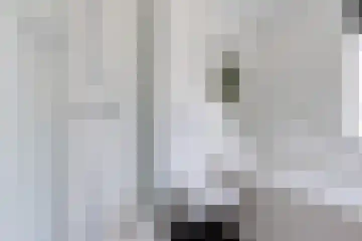 Pealskar 40 Joure thumbnail 22
