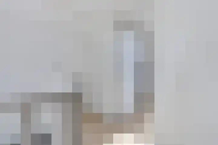 Pealskar 40 Joure thumbnail 30