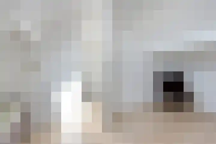 Pealskar 40 Joure thumbnail 31