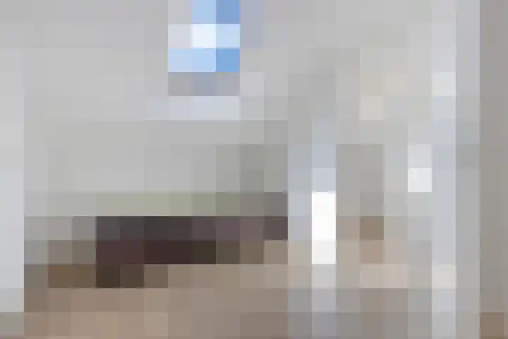 Pealskar 40 Joure thumbnail 32