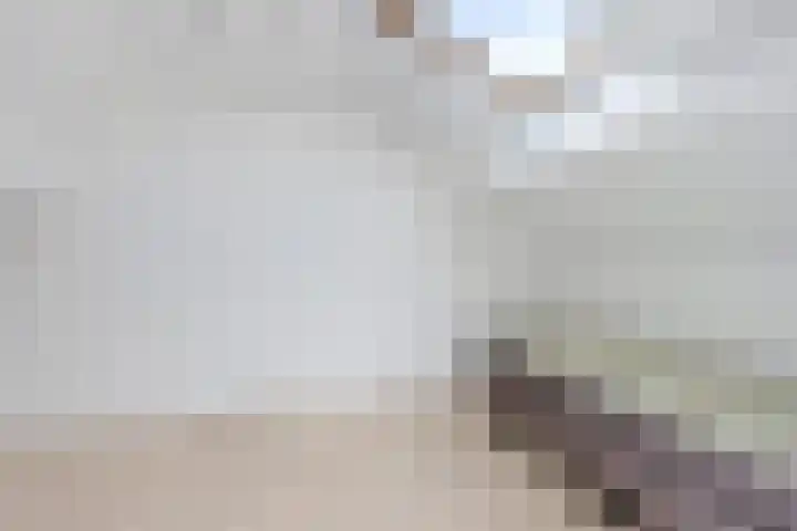 Pealskar 40 Joure thumbnail 33