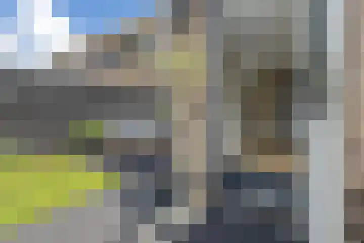 Pealskar 40 Joure thumbnail 34