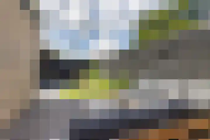Pealskar 40 Joure thumbnail 36