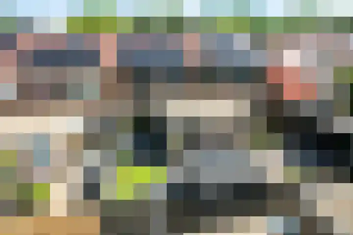Pealskar 40 Joure thumbnail 4