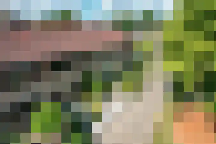 Pealskar 40 Joure thumbnail 41