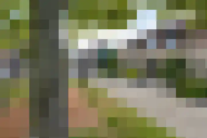 Pealskar 40 Joure thumbnail 43