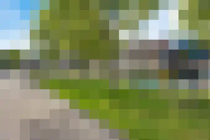 Pealskar 40 Joure thumbnail 44