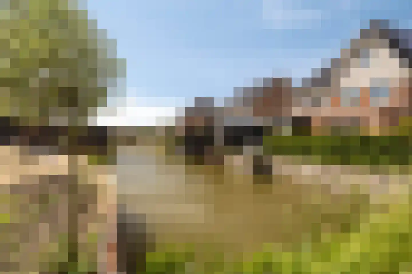 Pearl Bucklaan 7 Den Haag thumbnail 7