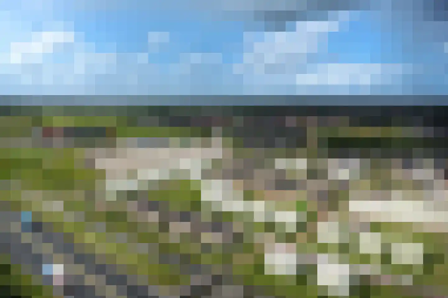 Peaskeblom 11 Leeuwarden thumbnail 6