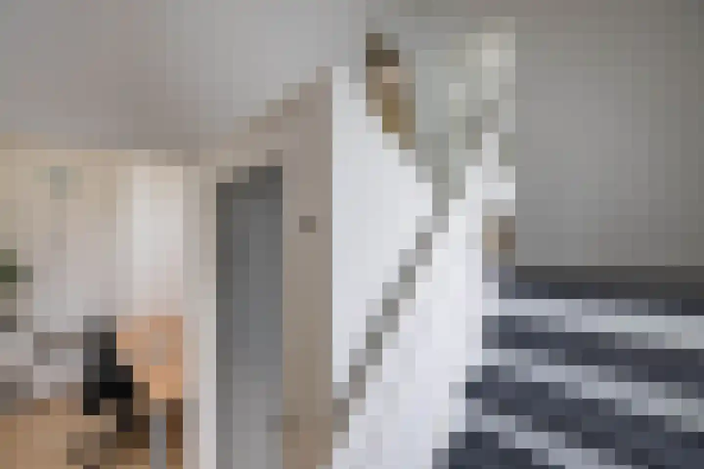 Peckedam 1 Hengelo thumbnail 17