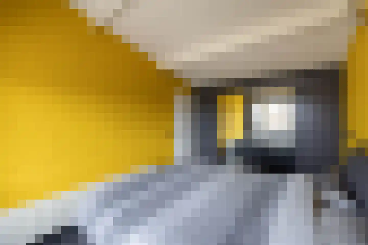 Peckedam 1 Hengelo thumbnail 19