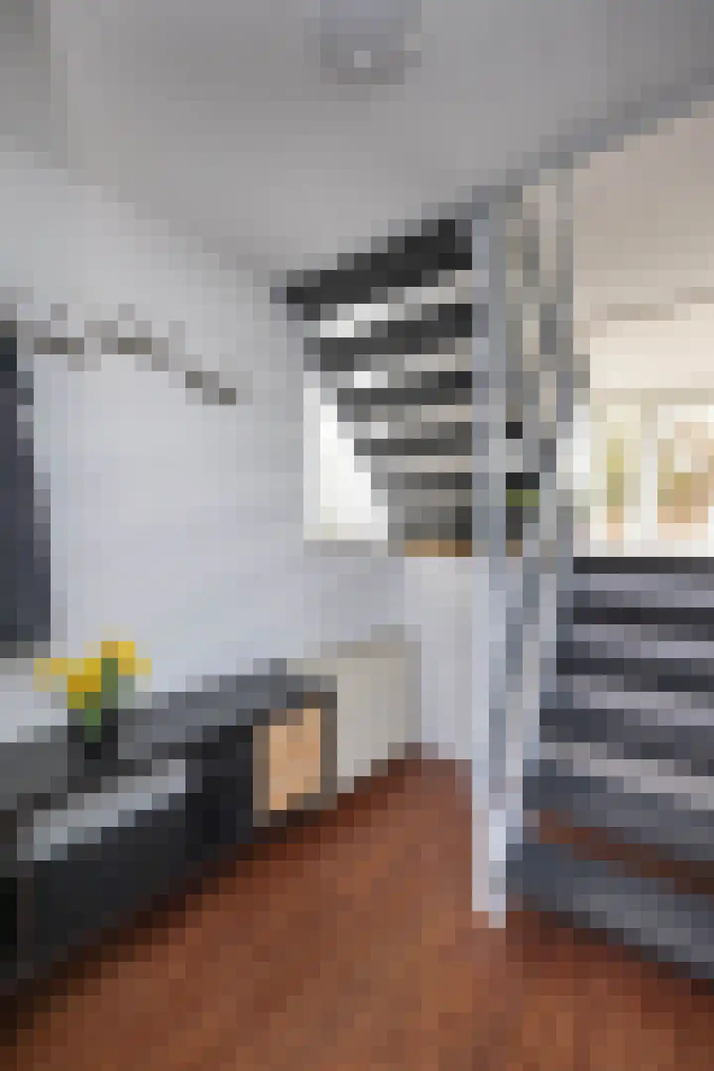 Peckedam 1 Hengelo thumbnail 22