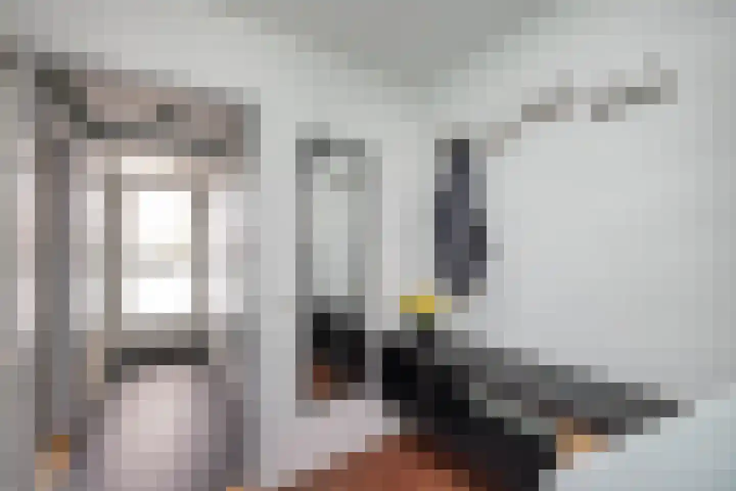 Peckedam 1 Hengelo thumbnail 23