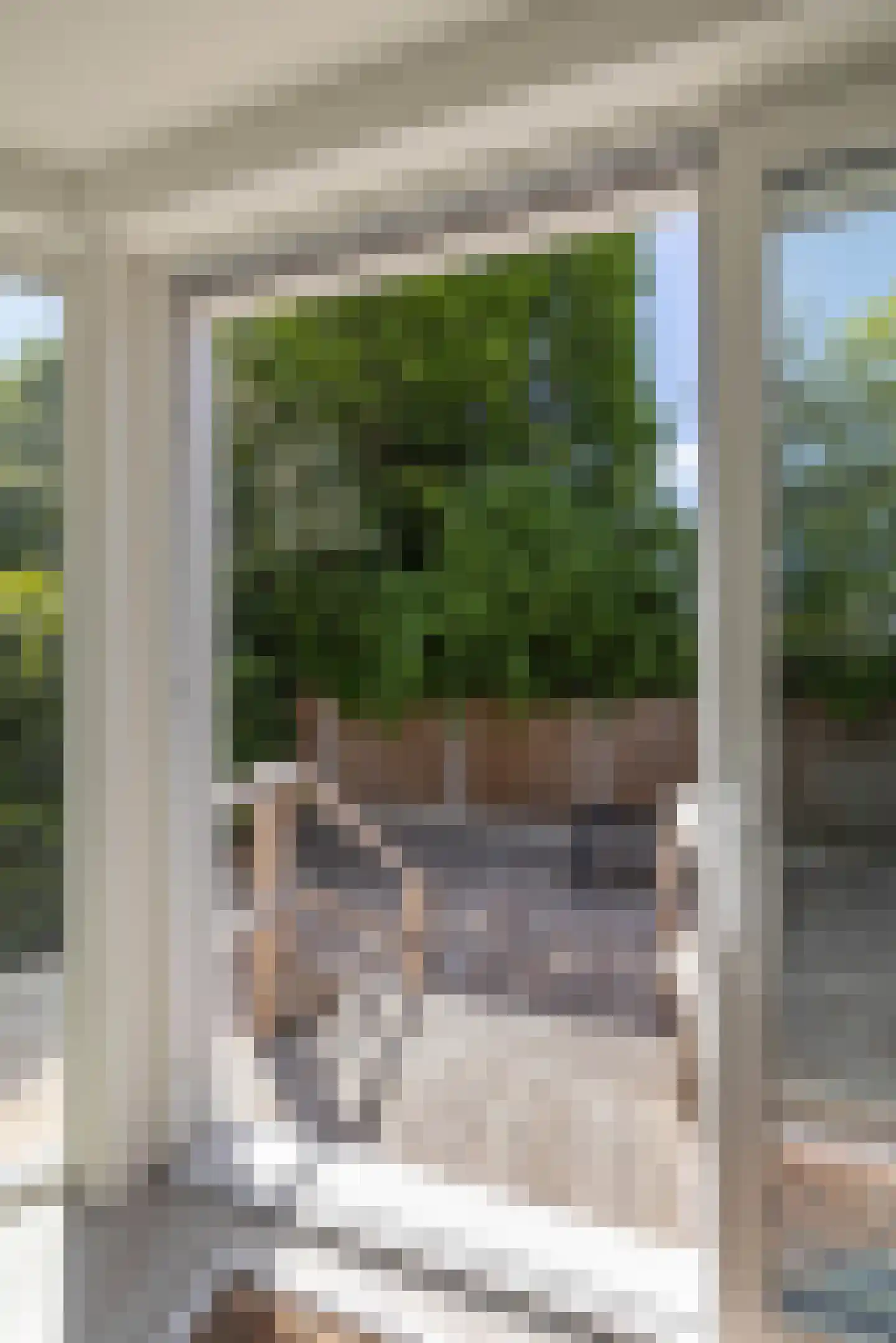 Peckedam 1 Hengelo thumbnail 26