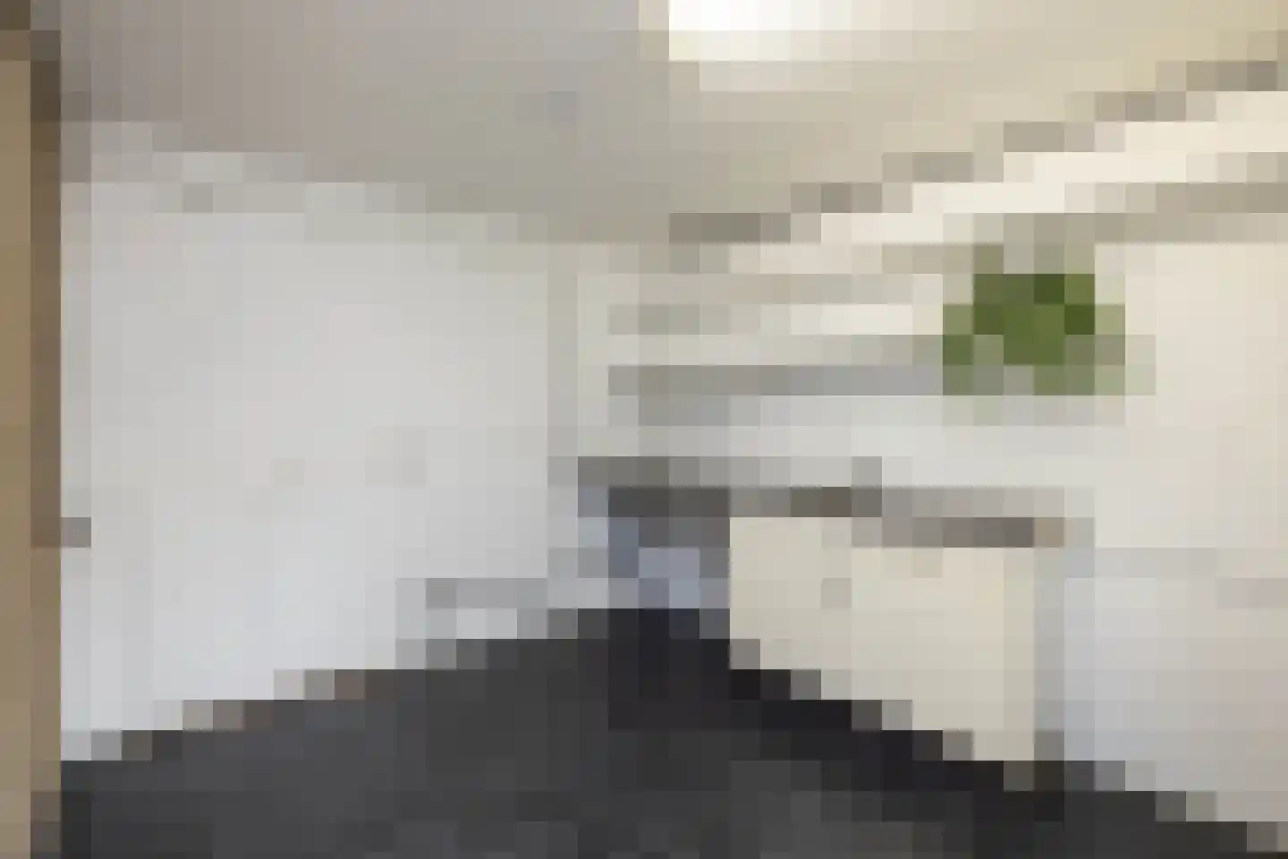 Peckedam 1 Hengelo thumbnail 26