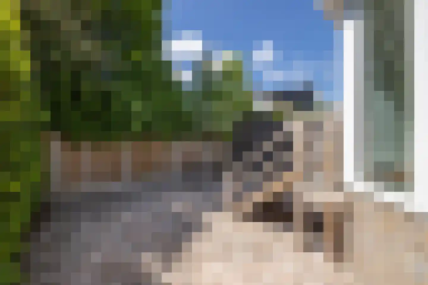 Peckedam 1 Hengelo thumbnail 29