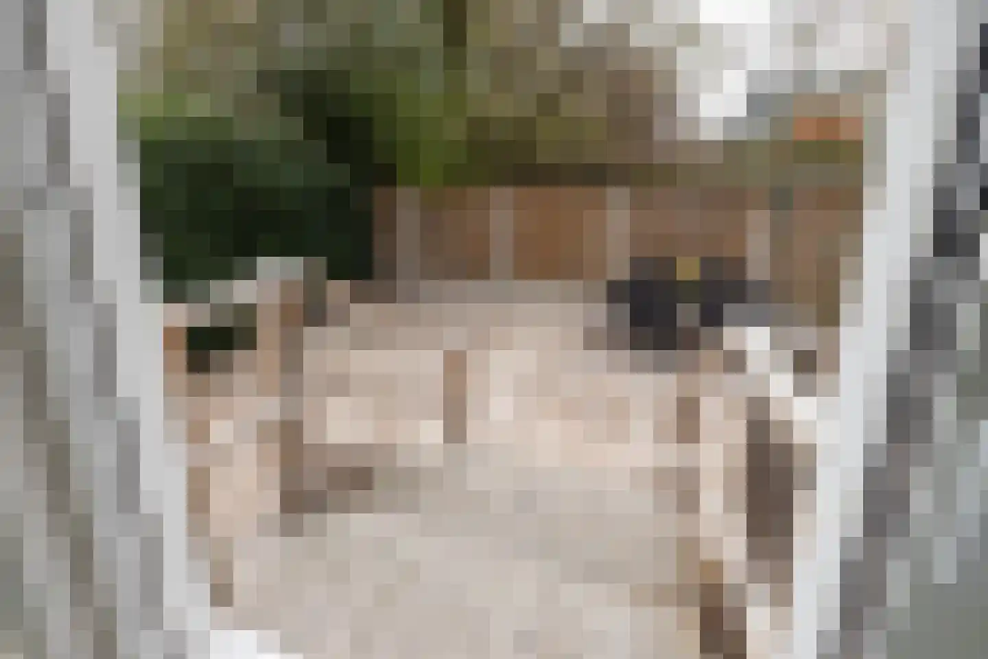 Peckedam 1 Hengelo thumbnail 29